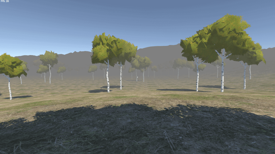 Forest in Unity